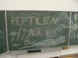 Infotag 11/2009