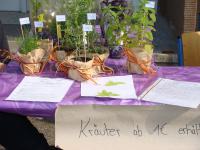 Schulfest 6/2010