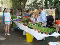 Schulfest 6/2010