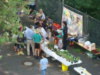 Schulfest 6/2010