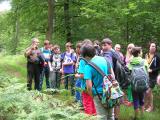 Waldexkursion 6/2012