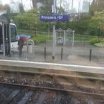 Kurs 12 Bi im Landauer Zoo 22.5.13