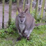 Kurs 12 Bi im Landauer Zoo 22.5.13