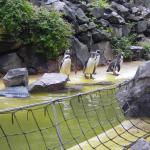 Kurs 12 Bi im Landauer Zoo 22.5.13