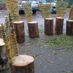 8a - Projekt "grünes Klassenzimmer" 22.5.13