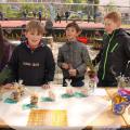 Schulfest 24.5.2013