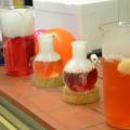 Chemieshow am Infotag