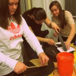 Frz. Kinoabend 1/2016