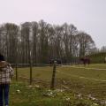 Probentage Bad Bergzabern 2/18