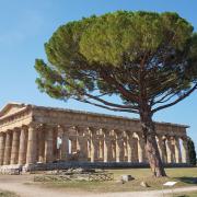 Exkursion nach Neapel 8/19