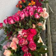 Rosenverkauf 2/23