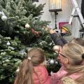 Weihnachtsbaum 11/23
