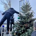 Weihnachtsbaum 11/23