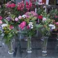 Garten-AG 6/24