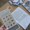 Impressionen Projektwoche 6/26